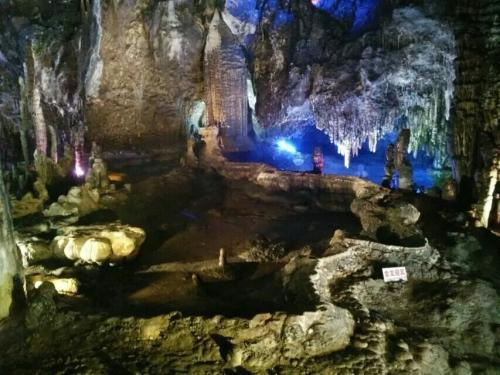 溶豆的做法是什么?知识星球平台—专业知识分享社群