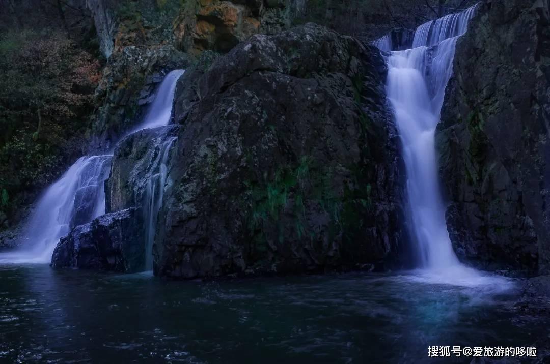张雨绮怎么能这么可爱！浑身包裹就剩个眼睛，这样的“兔女郎”你见过吗？