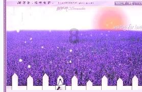 可爱猫咪救援