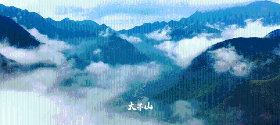 为了孩子你会选择做全职宝妈吗？游戏画面