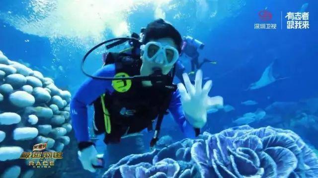 成绩单亮眼!滨城文旅今年将从这些方面发力……