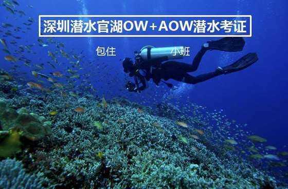 用泡腾片洗洗衣机有用吗？
