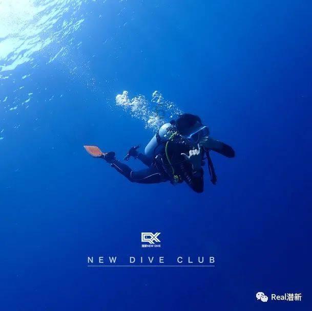央视节目里的宝藏文案游戏画面