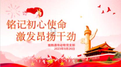 执业范围字典表游戏画面