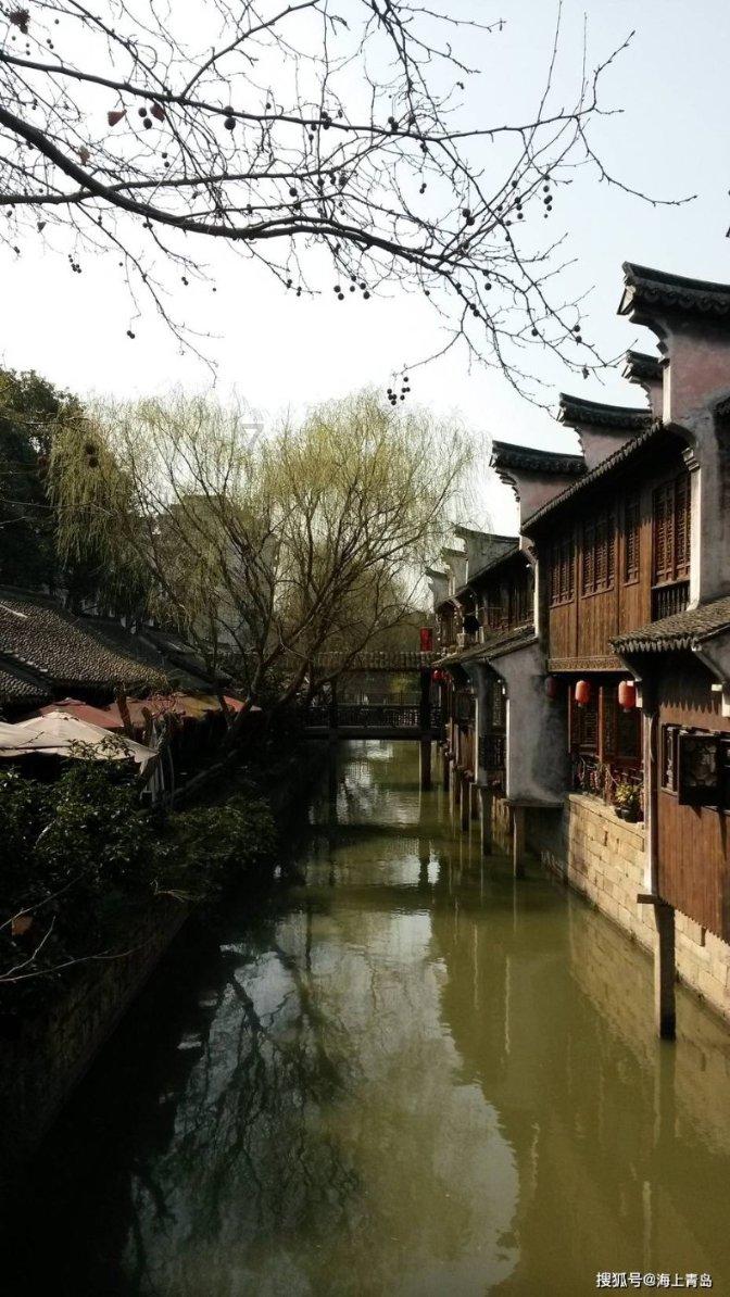 植物大战僵尸12